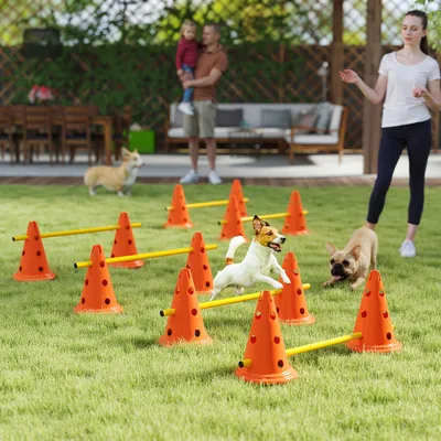 Produktbild von Hunde Agility Set 6-teilig, Steckhürden, Trainingshürden für Hunde, Orange | 3 Höheneinstellungen | ABS-Kunststoff | inkl. Kegel & Tasche