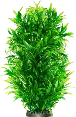Image de Kruger Meier Plante haute à feuilles caduques - plante artificielle