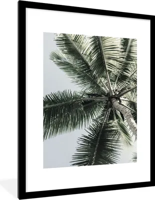 Produktbild von MuchoWow® Gerahmtes Poster Palme - Tropisch - Sommer 60x80 cm - Poster mit Schwarzem Bilderrahmen Wandposter Rahmen Foto Bilder - Wohnzimmer - Dekorationen - Prämie
