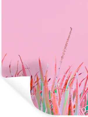 Produktbild von MuchoWow® Wandtattoo Wandsticker Wandaufkleber Sommer - Pflanzen - Pastell 120x160 cm Selbstklebend und Repositionierbar - Wierderverwendbar - Selbstklebend