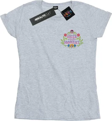 Produktbild von Disney - "Coco Seize Your Moment" T-Shirt für Damen BI14229 (L) (Grau)
