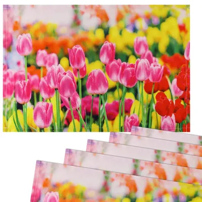 Produktbild von Tischsets Stoff Platzsets CLOTH pinke Tulpen Blumenwiese