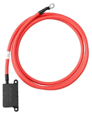 Immagine prodotto di Cavo fusibile esteso per caricatore alternatore EcoFlow (2 m)