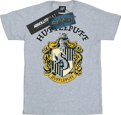 Produktbild von Harry Potter - T-Shirt für Herren BI1331 (XL) (Grau)