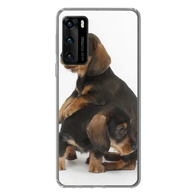 Produktbild von MuchoWow® Handyhülle Schutzhülle Hülle für Huawei P40 Studiofoto von zwei süßen Dackeln Silikon Softcase Handy Hülle - Handytasche