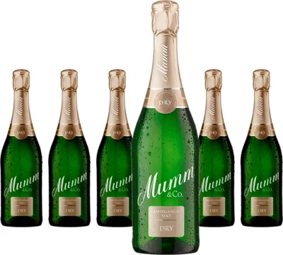 Produktbild von 6 x Mumm Sekt Dry