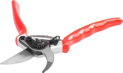 Produktbild von Astschere Strend Pro Premium 3103A-5, Garten, für Äste