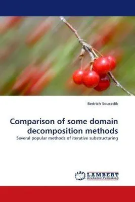 Immagine prodotto di Comparison of some domain decomposition methods