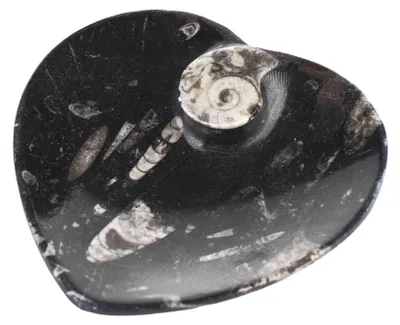 Produktbild von Orthoceras Fossil Herz Räucherschale 10×11 cm – Deko Schmuckschale