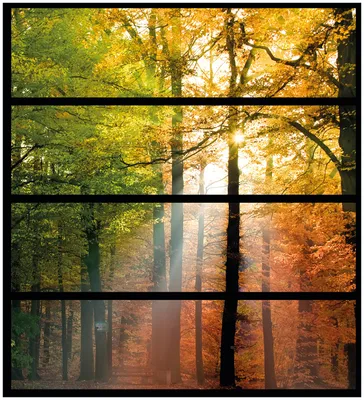 Produktbild von Wallario Möbelfolie / Aufkleber, geeignet für Ikea Malm Kommode mit 4 Schubfächern - Sonnenuntergang im Herbstwald