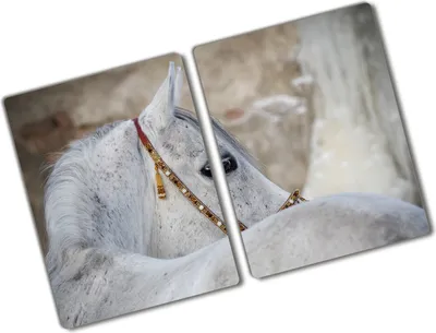 Produktbild von Tulup Glas Herdabdeckplatte - 2x40x52 cm - Glaskeramikkochfeld-Abdeckung Spritzschutz Glasabdeckplatte Kochplattenabdeckung und Schneidebrett - Zweiteilig - Tiere - Arabisches Pferd - Weiß