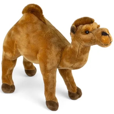 Productafbeelding van Carl Dick Dromedar, knuffel, 28 cm, pluche, zacht speelgoed, artikelnummer 3847