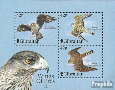 Produktbild von Briefmarken Gibraltar 2000 Mi Block44 (kompl.Ausg.) postfrisch Kampffugzeuge