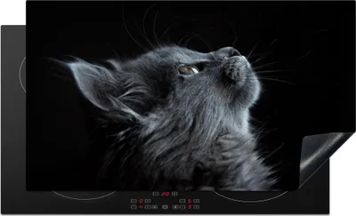 Produktbild von KitchenYeah© Herdabdeckplatte Katze - Licht - Schwarz , 91x52cm, Küche Deko, Glaskeramikkochfeld Herdabdeckung, Abdeckplatte fùr Kochfeld