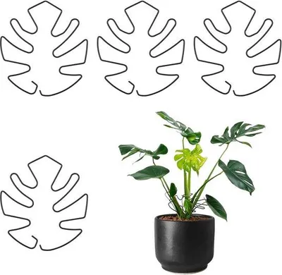 Productafbeelding van Set van vier steunpalen voor kamerplanten - Ondersteuning voor plantenscheuten - Klimsteunen voor klimplanten - Bevordert een gezonde plantengroei - Leigrijs
