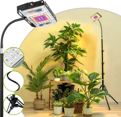 Image de Lampe LED à spectre complet de 8 W pour plantes, avec pied, 1 tête, intensité réglable, pour plantes d'intérieur, hauteur réglable de 60 à 160 cm, avec minuterie automatique marche/arrêt