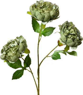 Immagine prodotto di Fiore artificiale Clayre & Eef 80 cm plastica verde
