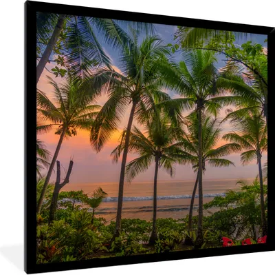 Produktbild von MuchoWow® Gerahmtes Poster Palme - Tropisch - Meer 40x40 cm - Poster mit Schwarzem Bilderrahmen Wandposter Rahmen Foto Bilder - Mit Rahmen - Wanddekoration Schlafzimmer