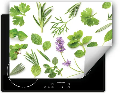 Zdjęcie produktu dla DarHaus Nakładka na kuchenkę 70x52 cm Mata antypoślizgowa zwijana, zielona - Zioła