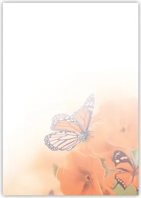 Produktbild von Motiv Briefpapier (Blumen-5026, DIN A4, 100 Blatt). Einseitig bedrucktes Briefpapier,  beschreibbar, Motivpapier für alle Drucker/Kopierer geeignet  Motiv rote Blumen Schmetterlinge Stiefmütterchen Monarch Falter