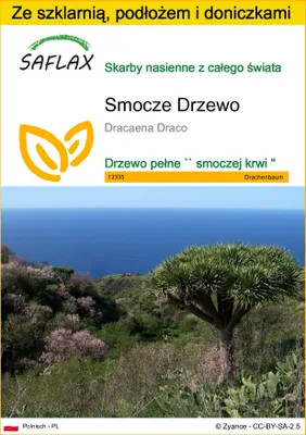 Zdjęcie produktu dla SAFLAX - Zestaw do uprawy - Smocze Drzewo - 5 Nasiona - Z mini szklarnią, podłożem uprawowym i 2 doniczkami - Dracaena Draco