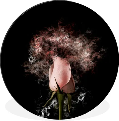 Produktbild von MuchoWow® Aluminium Wandkreis Rosen - Blumen - Rosa Ø 60 cm Wanddeko Modern Wohnzimmer - Wand Kreis - Wandbild - Schlafzimmer - Aluminium Bild - Kinderzimmer - Wohnzimmer Dekoration - Wandschmuck
