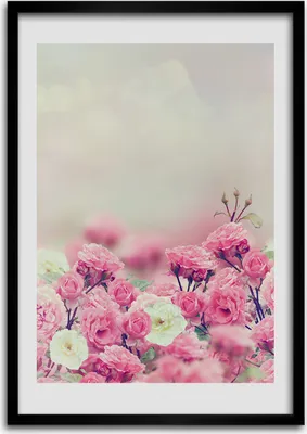 Produktbild von Bild - Bilderrahmen - Foto - 70 cm x 100 cm - MDF - Rahmen - Wandkunst - Wildrose