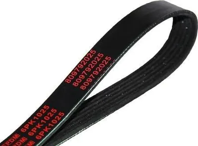 Produktbild von MAPCO Keilrippenriemen 1025mm für VW Golf VII Schrägheck (5G1, BQ1, BE1, BE2) 261025