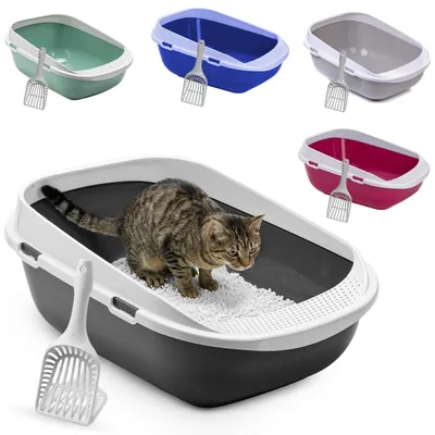 Produktbild von XXL Katzentoilette Schale 65 cm anthrazit mit Rand und Schaufel