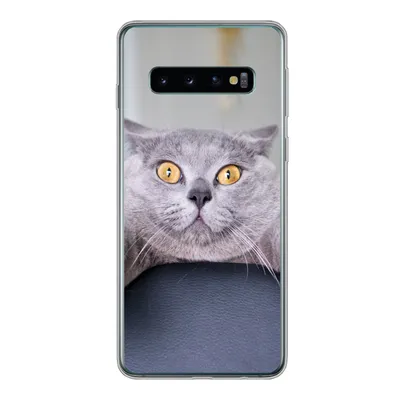 Produktbild von MuchoWow® Handyhülle Schutzhülle Hülle für Samsung Galaxy S10 Katze - Angst - Stuhl Silikon Softcase Handy Hülle - Handytasche