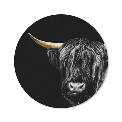 Produktbild von MuchoWow® Mauspad Mousepad Schottischer Highlander - Goldene Hörner 40x40 cm - Mousepads - Maus Mat - Pad - Mausunterlage - Schreibtisch Accessoires