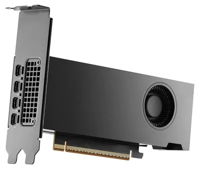 Produktbild von PNY RTX PRO 2000 Blackwell, RTX PRO 2000, 16 GB, GDDR7, 128 Bit, 15360 x 8640 Pixel, PCI Express x8 5.0