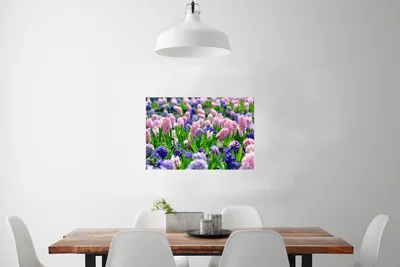 Produktbild von MuchoWow® Poster Hyazinthe - Farben - Frühling 90x60 cm - Schlafzimmer