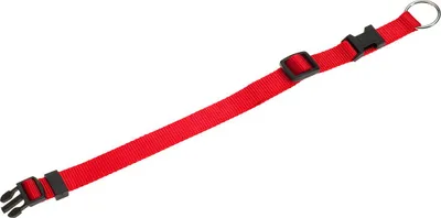 Produktbild von Karlie Art Sportiv Basic Hundehalsband Nylon