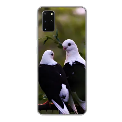 Produktbild von MuchoWow® Handyhülle Schutzhülle Hülle für Samsung Galaxy S20 Plus Vögel - Zweig - Blätter Silikon Softcase Handy Hülle - Hartschale