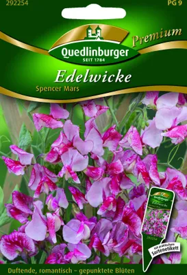 Produktbild von Edelwicken Spencer Mars | Wickensamen von Quedlinburger