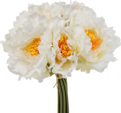 Produktbild von Pfingstrosen Künstliche Päonien Weiß Gelb Kunstblumen Tischdeko Hochzeit 7er Set, 7 Stück