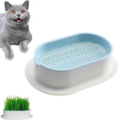 Productafbeelding van Hydrocultuur-grasbundelset voor honden - Kattengrasplant voor honden - uniek ontwerp - dubbele laag - huisdiergras
