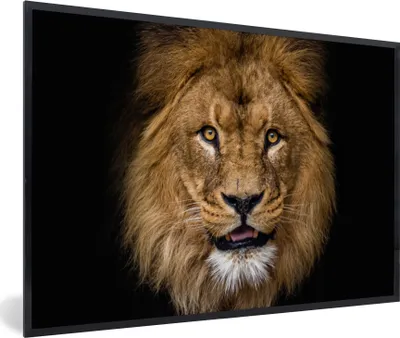 Produktbild von MuchoWow® Gerahmtes Poster Löwe - Porträt - Schwarz - Tiere 60x40 cm - Poster mit Schwarzem Bilderrahmen Wandposter Rahmen Foto Bilder - Printing - Wanddeko Schlafzimmer