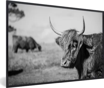 Produktbild von MuchoWow® Gerahmtes Poster Schottischer Highlander - Tiere - Schwarz - Weiß 90x60 cm - Poster mit Schwarzem Bilderrahmen Wandposter Rahmen Foto Bilder - Fotorahmen - Foto-Plakat