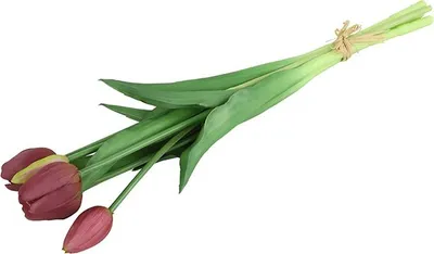 Zdjęcie produktu dla Bukiet tulipanów Countryfield – tulipany – fioletowe – 40 cm
