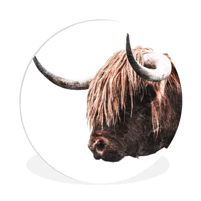 Produktbild von MuchoWow® Rundes Wandbild - Runde Bilder Schottischer Highlander - Tiere - Hörner Ø 90 cm Kreis Wanddekoration Kunststoff - Wandkreis - Wandschmuck - Wand-Kreis - Wohnzimmer - Bild - Runde - Wanddeko - Dibond - Kunstdrucke