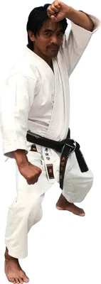 Produktbild von KAITEN Karateanzug Sovereign REGULAR - Karate Gi weiß 10 oz Baumwolle - Hose mit Zugverschluss - Größe 175 cm