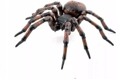 Zdjęcie produktu dla Papo 50292 Pająk zwyczajny 6 cm Wildlife