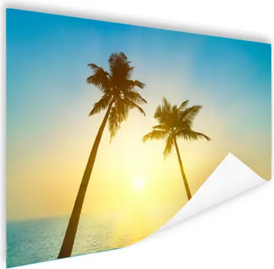Produktbild von MuchoWow® Poster Sommer - Palmen - Sonne 180x120 cm - Fotoplakat