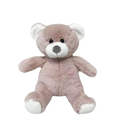 A plush teddy bear is shown sitting against a white background.