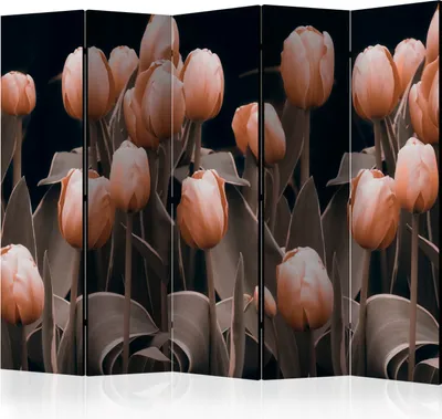 Produktbild von Akusticher Raumteiler Blumen Foto Paravent 225x172 cm beidseitig auf Vlies-Leinwand bedruckt Akustikschaum Trennwand Spanische Wand Sichtschutz Home Office Natur Botanik Tulpen b-C-0430-z-c