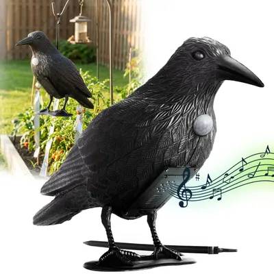 Produktbild von Realistische Vogelabwehr Krähe mit Sound: Batteriebetriebener Raben Vogelschreck für effektive Vogelabwehr. Natürliche Krähengeräusche zur Abschreckun