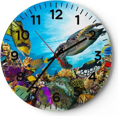 Produktbild von Wanduhr - Rund - Glasuhr - Riff Koralle Fisch - 40x40cm - Schleichendes Uhrwerk - Lautlos - zum Aufhängen bereit - Dekoration Modern - Wanddekoration aus Glas - C4AR40x40-3704