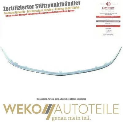 Produktbild von Blende  Kühlergitter vorne DIEDERICHS 1807041 für OPEL